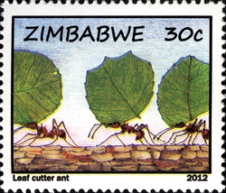 Stamp, Life of Ants and Termites - Leaf Cutter Ant, Zimbabwe,  