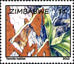 Life of Ants and Termites - Termite environment