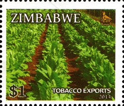 Main Export Crops of Zimbabwe - Tobacco