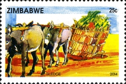 The History of Transport in Zimbabwe - The Sledge in the 1890's