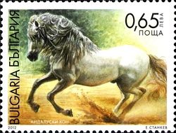 Stamp, Pure-breed Horses, Bulgaria,  