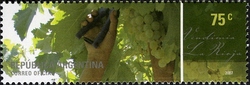 Landscapes and Wines II - Grape harvest