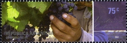 Landscapes and Wines II - Vendimia