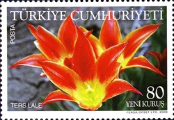 Stamp, Joint Issue - Turkey and Indonesia, Turkey,  