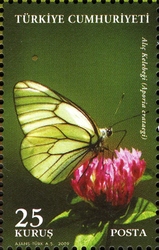 Stamp, World Environment Day - Butterflies - Aporia crataegi, Turkey,  