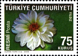 Official Postage Stamps - Flowers