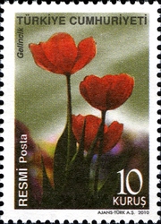 Official stamps
