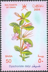Stamp, Wild Flowers in Oman - Dyschoriste dalyi, Oman,  