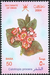 Stamp, Wild Flowers in Oman - Calotropis procera, Oman,  