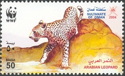 WWF - Arabian Leopard