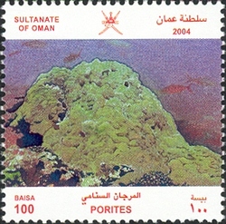 Coral Reefs - Porites