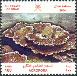 Coral Reefs - Acropora