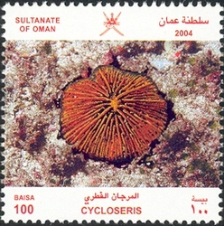 Coral Reefs - Cycloseris