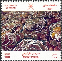 Coral Reefs - Montipora