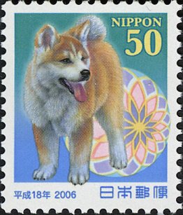 Akita Inu (Canis lupus familiaris)