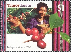Celebrating Independence - Coffee Harvest
