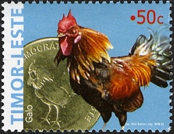 30th Anniversary of Independence