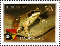 International Year of Biodiversity - Reptiles - Timor River Frog