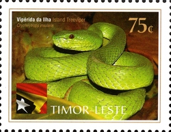 International Year of Biodiversity - Reptiles - Island Tree Viper