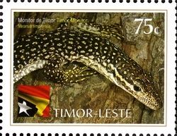 International Year of Biodiversity - Reptiles - Timor Monitor