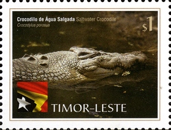 International Year of Biodiversity - Reptiles - Saltwater Crocodile