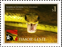 Stamp, International Year of Biodiversity - Reptiles - Timor Bronzeback, East Timor,  