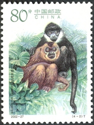 Gibbons special stamps - Hylobates lar.