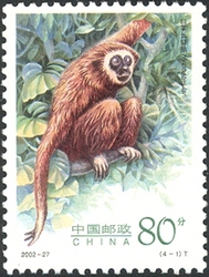 Gibbons special stamps - Hylobates leucogenys