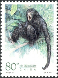Gibbons special stamps - Hylobates concolor