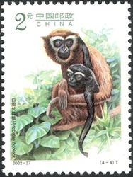 Gibbons special stamps - Hylobates hoolock
