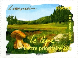 France that I Like - Limousin