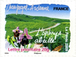 France that I Like - Champagne-Ardenne