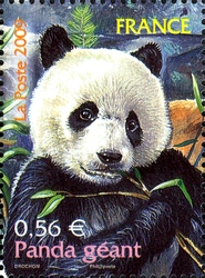 Endangered or Extinct Species - Giant Panda