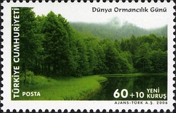 World Forest Day