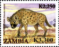 Stamp, Birds and Animals overpirnt - Spotted Hyena, Zambia,  