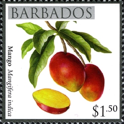 Barbados Local Fruits - Mango