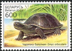 Stamp, Reptiles of Belarus - Pond Turtle, Belarus,  