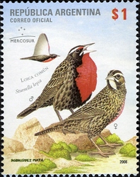 Mercosur - Long tailed Meadowlark