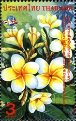 60th Anniversary of Thailand-Lao PDR Diplomatic Relations