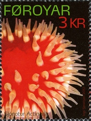Sea Anemones