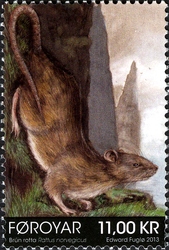 The Brown Rat