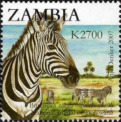 Stamp, 2nd SAPOA Joint issue - Burchells' zebra, Zambia,  