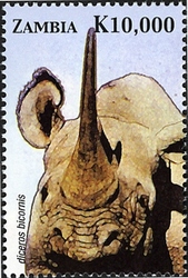 Stamp, Animals of Zambia and Africa - Diceros bicornis, Zambia,  