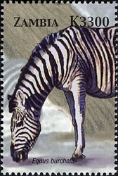 Stamp, Animals of Zambia and Africa - Equus burchelli, Zambia,  