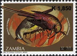 Sunbirds overprint