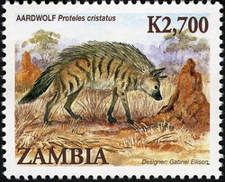 Animals of Zambia - Aardwolf