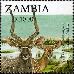 2nd SAPOA Joint issue - Nyala