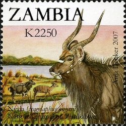 Stamp, 2nd SAPOA Joint issue - Nyala, Zambia,  