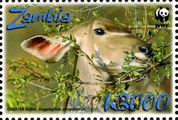 Stamp, WWF - Greater Kudu, Zambia,  