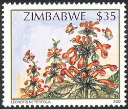 Wildflowers of Zimbabwe Series 2 - Wild dagga (Leonotis nepetifloia)